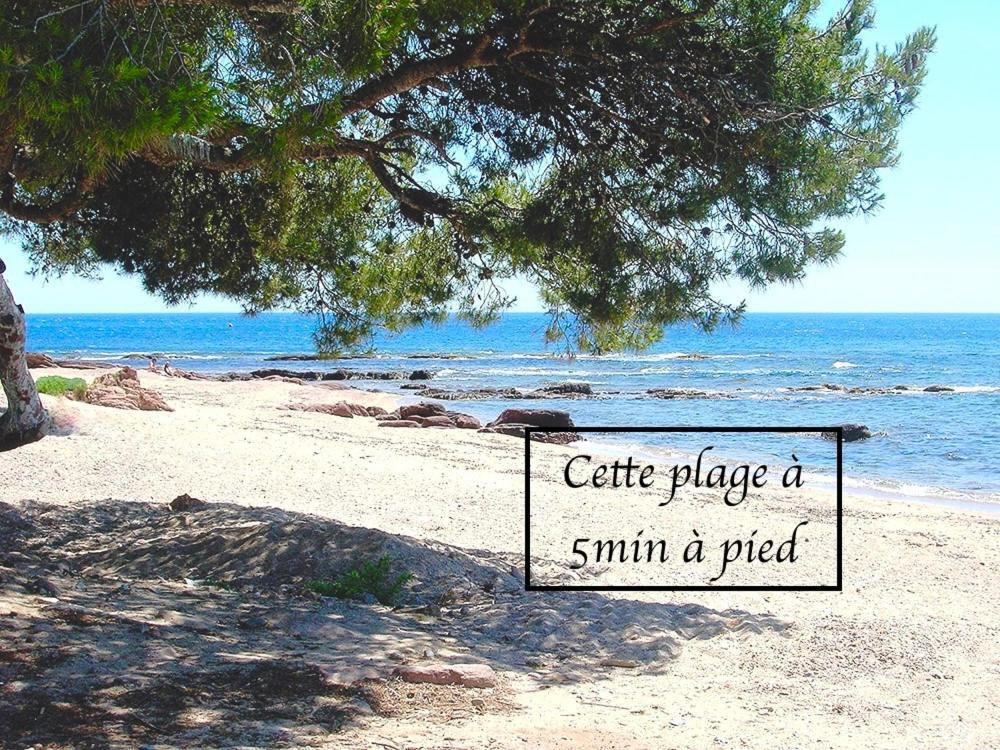 Appartement Plage Et Nature Saint-Raphaël Exterior foto
